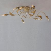 ������ Doge Luce 859PL6X8 Ivory Gold